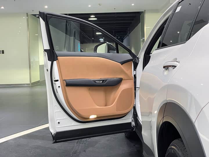 Фото 6 - Lexus RZ