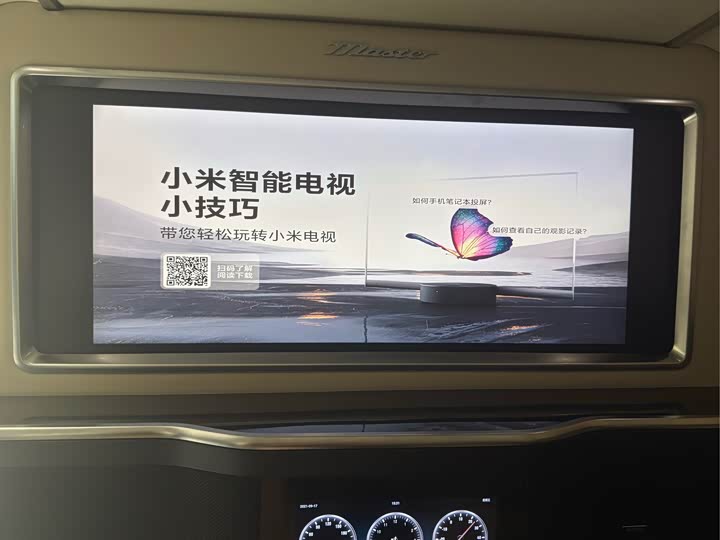 Фото 19 - GAC Trumpchi M8