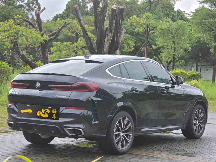 Фото 10 - BMW X6