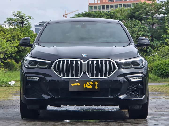 Фото 2 - BMW X6