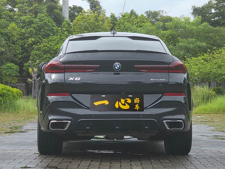 Фото 9 - BMW X6