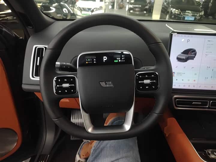 Фото 11 - LiXiang L8