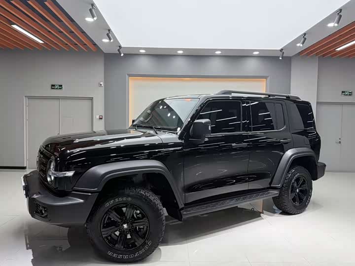 Фото 1 - Tank 300