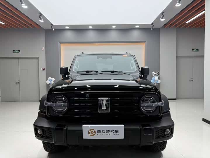 Фото 2 - Tank 300