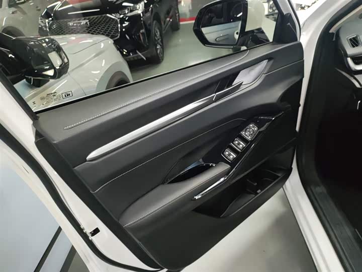Фото 28 - Haval H6