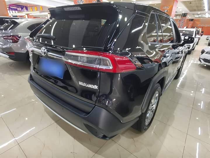 Фото 8 - Toyota Wildlander