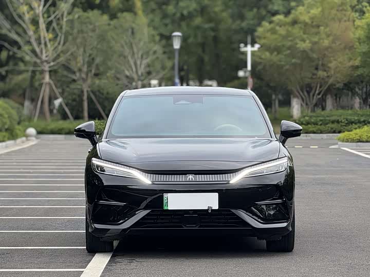 Фото 2 - BYD Song L