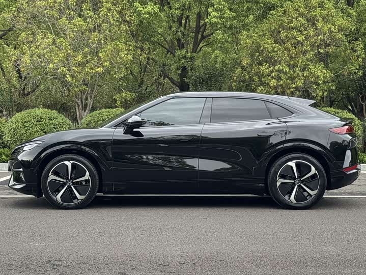 Фото 3 - BYD Song L