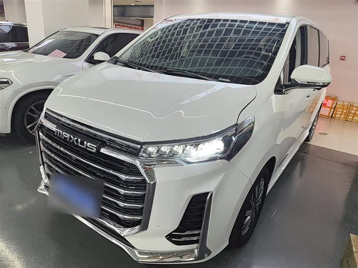 Фото 1 - Maxus G20