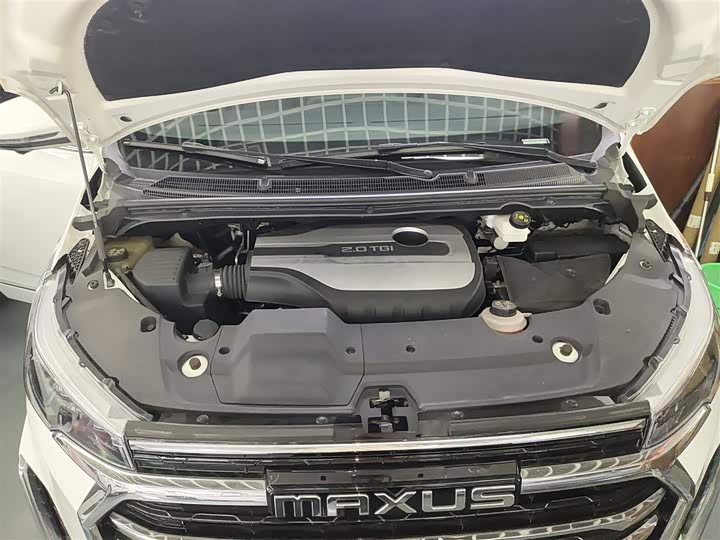 Фото 20 - Maxus G20