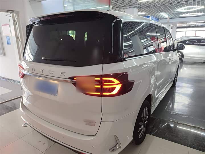 Фото 7 - Maxus G20