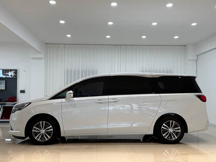 Фото 3 - Buick GL8 ES