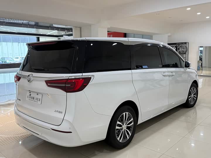 Фото 7 - Buick GL8 ES
