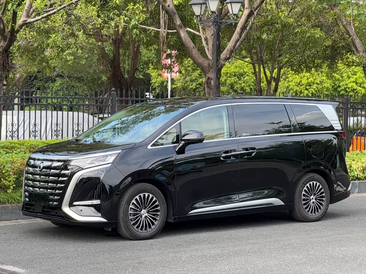 Фото 1 - Denza D9