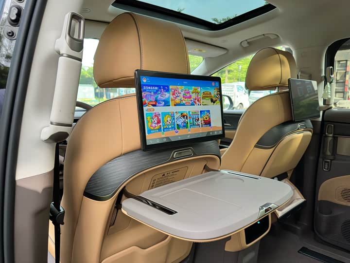 Фото 13 - Denza D9