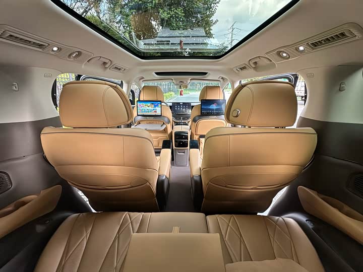 Фото 15 - Denza D9