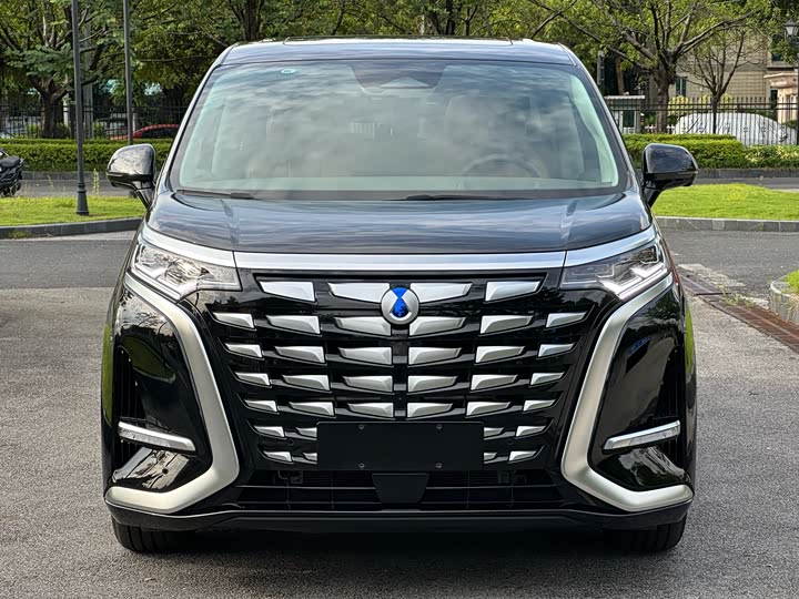 Фото 2 - Denza D9