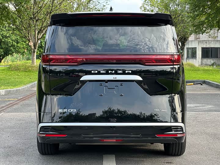 Фото 20 - Denza D9