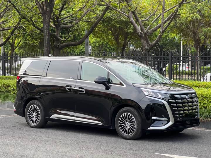 Фото 21 - Denza D9