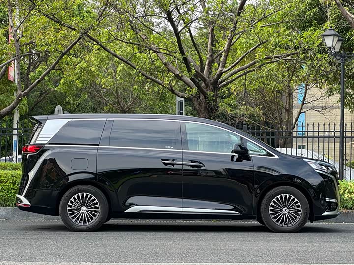 Фото 3 - Denza D9