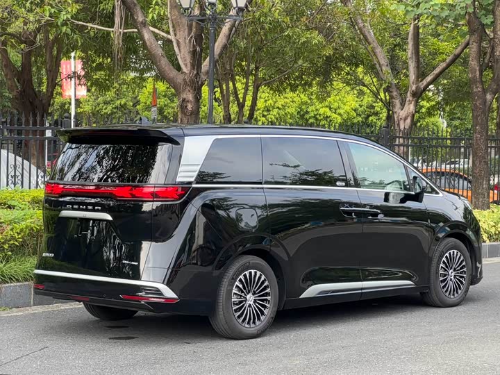 Фото 4 - Denza D9