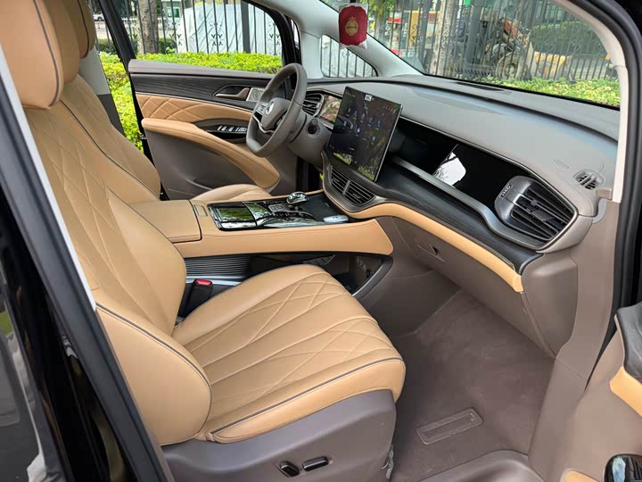 Фото 9 - Denza D9