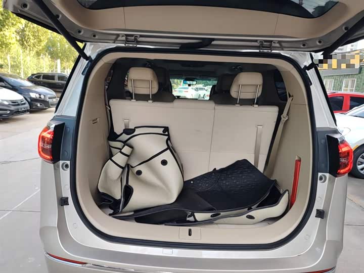 Фото 19 - Buick GL8 ES