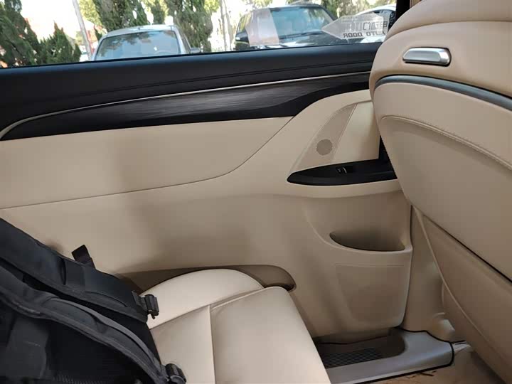 Фото 29 - Buick GL8 ES