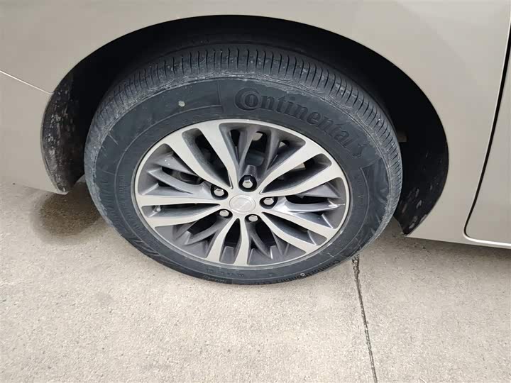 Фото 30 - Buick GL8 ES