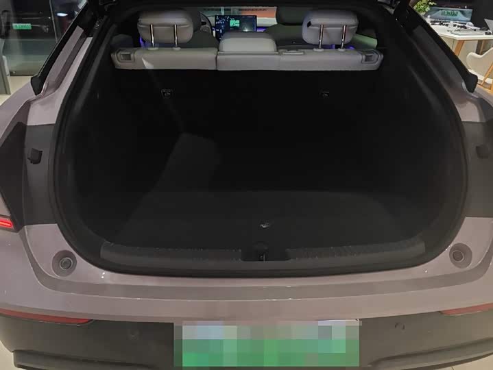 Фото 10 - XPeng F57