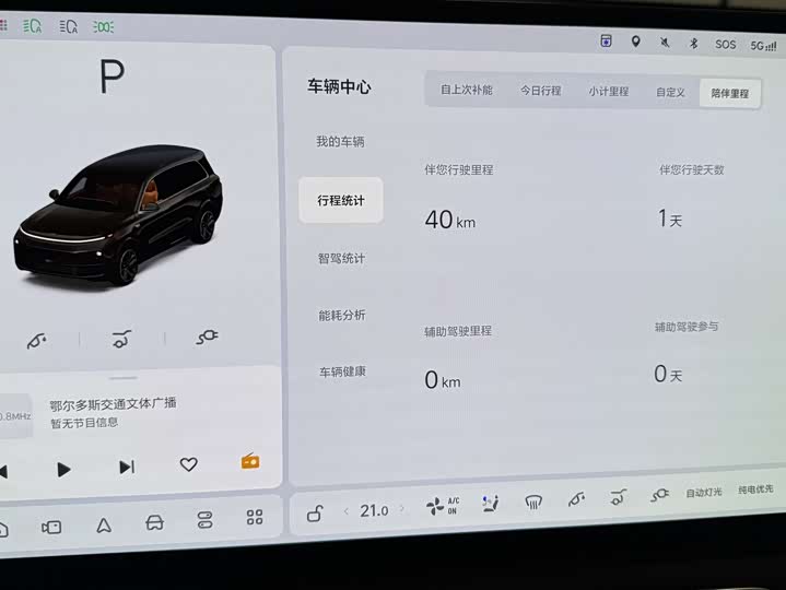 Фото 26 - LiXiang L9