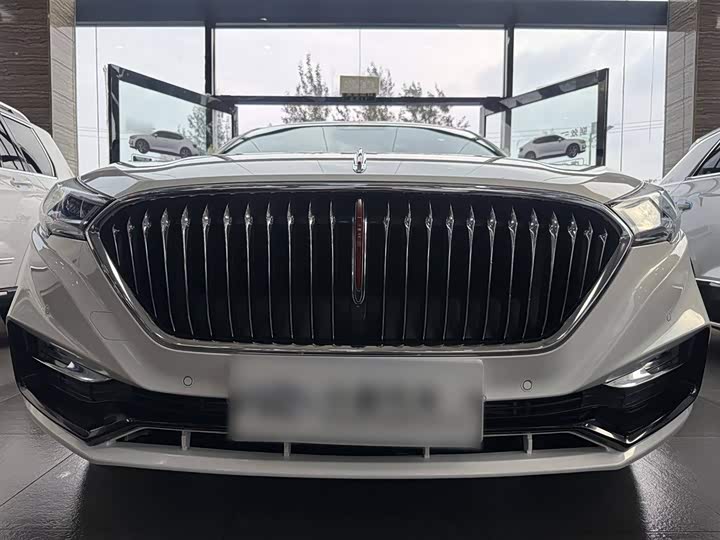 Фото 6 - Hongqi H5