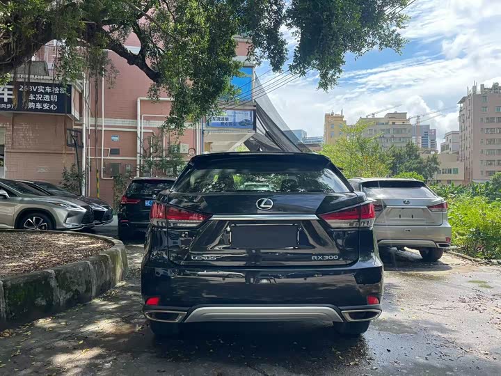 Фото 8 - Lexus RX