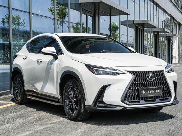 Фото 2 - Lexus NX