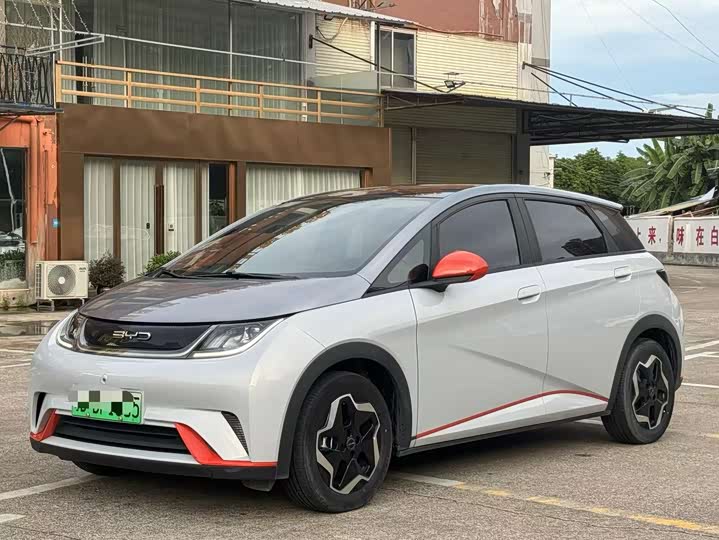 Фото 1 - BYD Dolphin