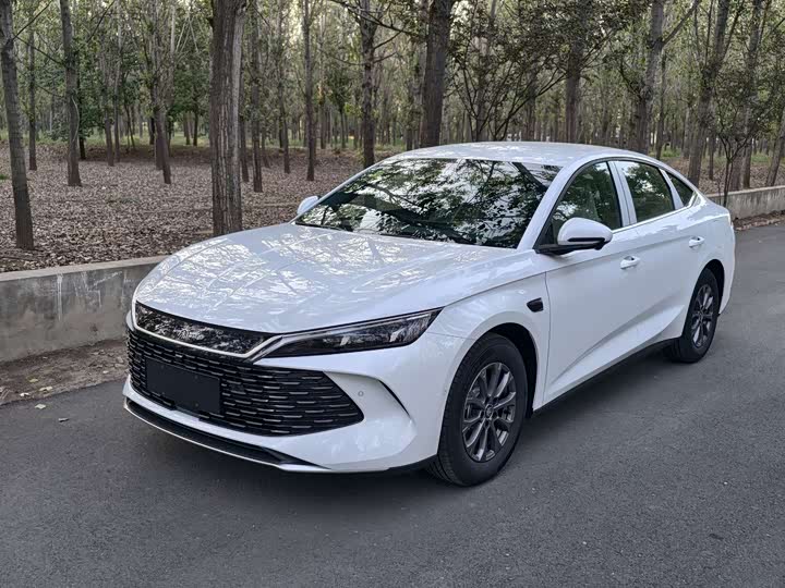 Фото 1 - BYD Qin L