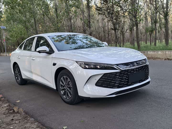 Фото 2 - BYD Qin L