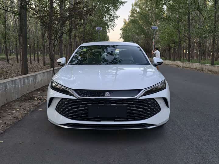 Фото 3 - BYD Qin L