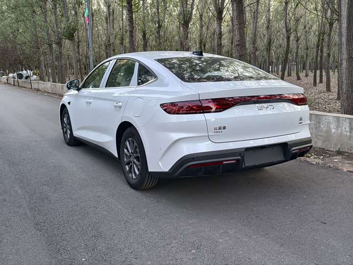 Фото 4 - BYD Qin L