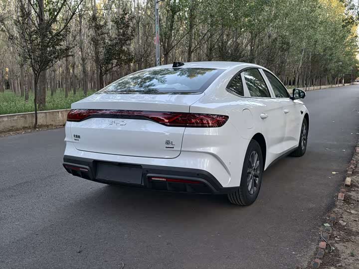 Фото 5 - BYD Qin L