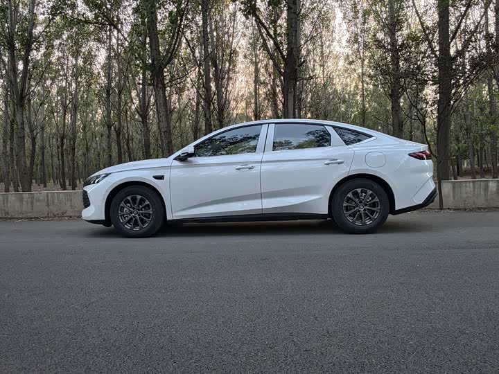 Фото 6 - BYD Qin L