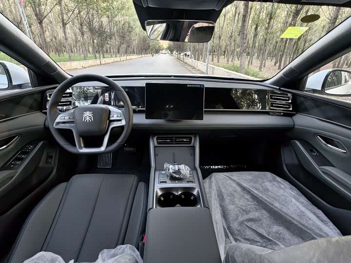 Фото 7 - BYD Qin L