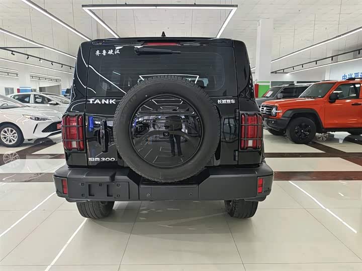 Фото 10 - Tank 300