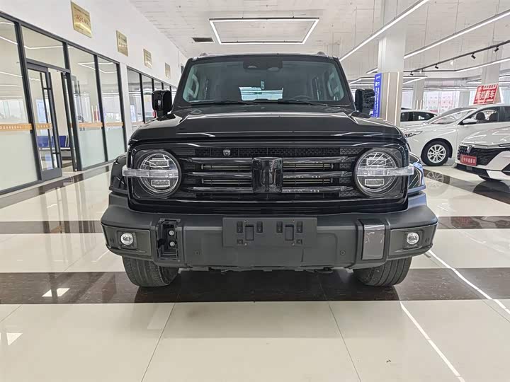 Фото 3 - Tank 300