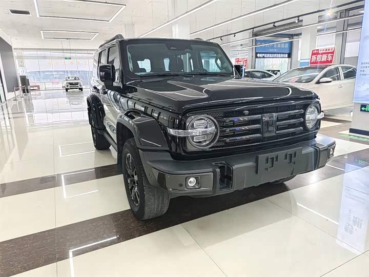 Фото 4 - Tank 300