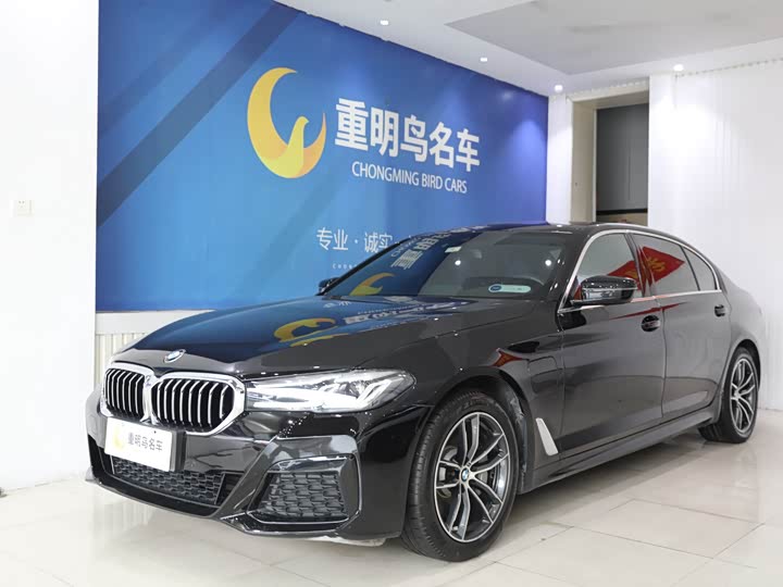 Фото 1 - BMW 5 Series Hybrid