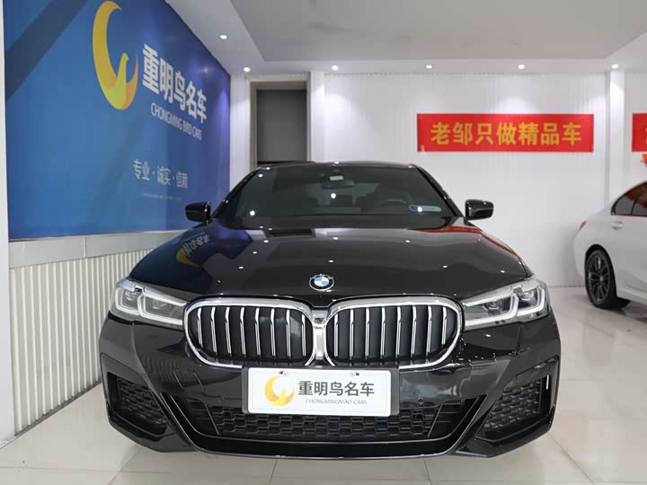 Фото 2 - BMW 5 Series Hybrid