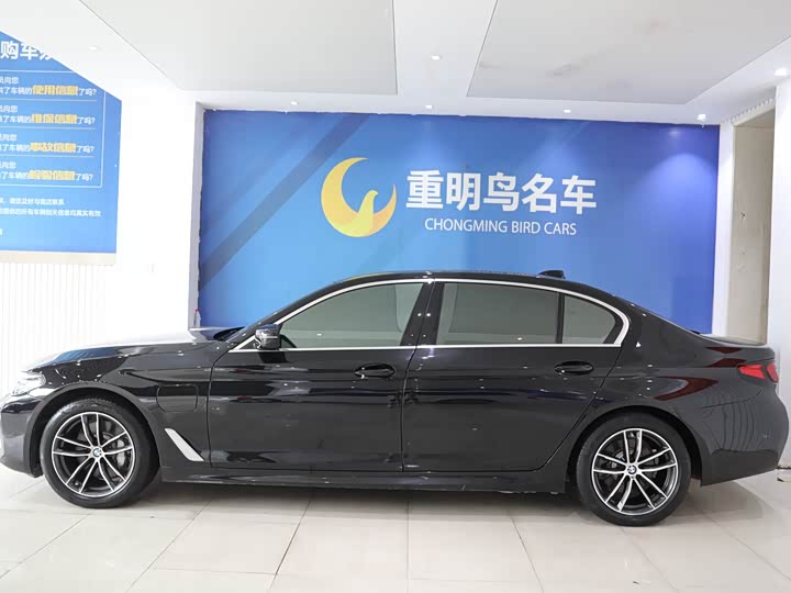 Фото 3 - BMW 5 Series Hybrid