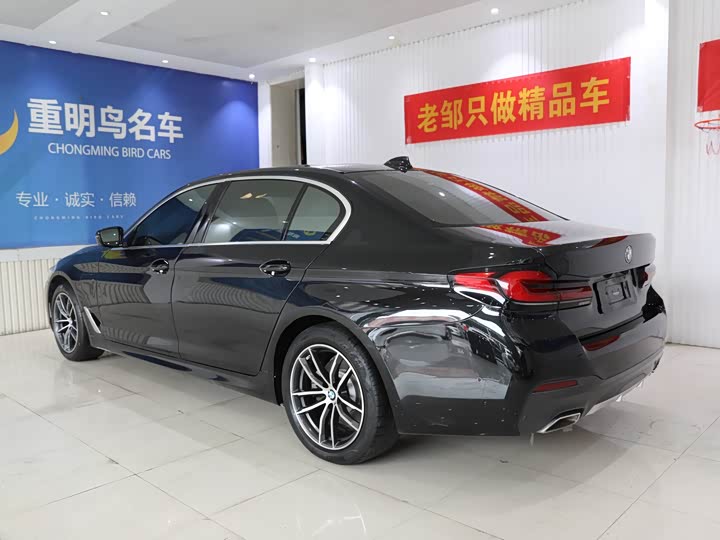 Фото 4 - BMW 5 Series Hybrid