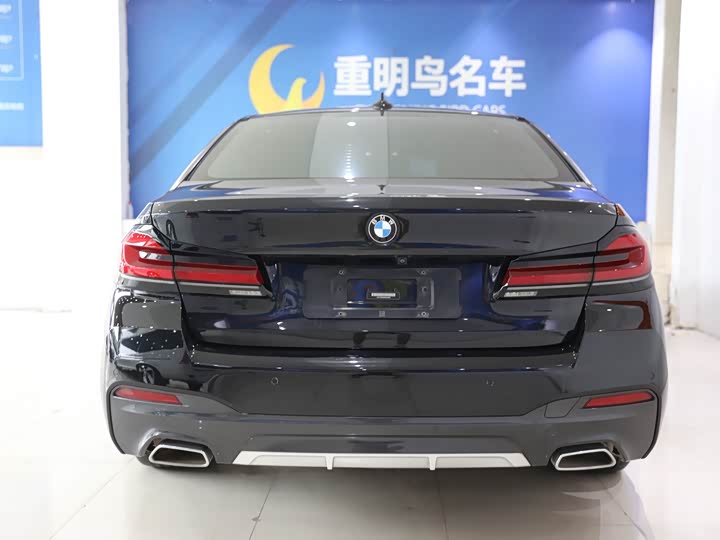 Фото 5 - BMW 5 Series Hybrid
